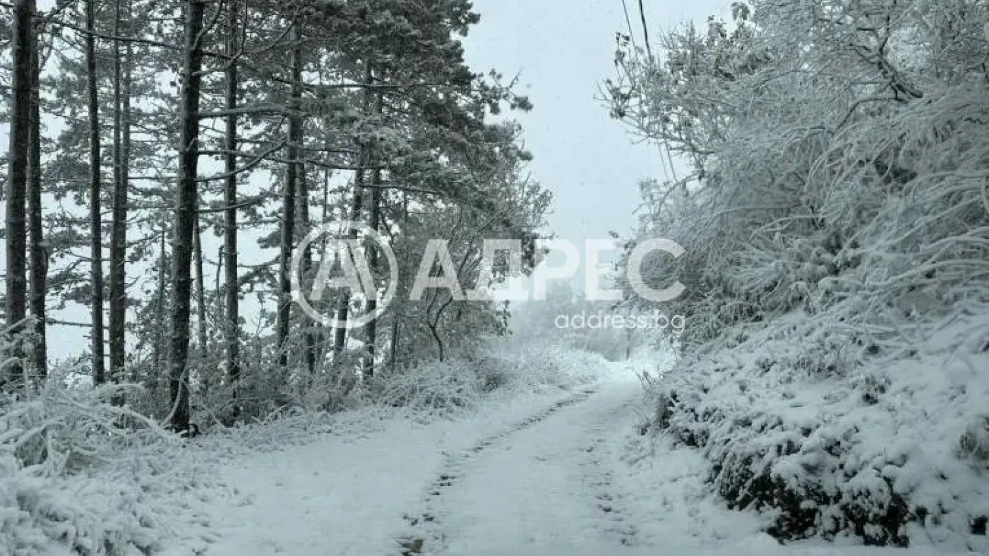 Spacious Villa with Stunning Sea and Forest Views for Sale - Image 3