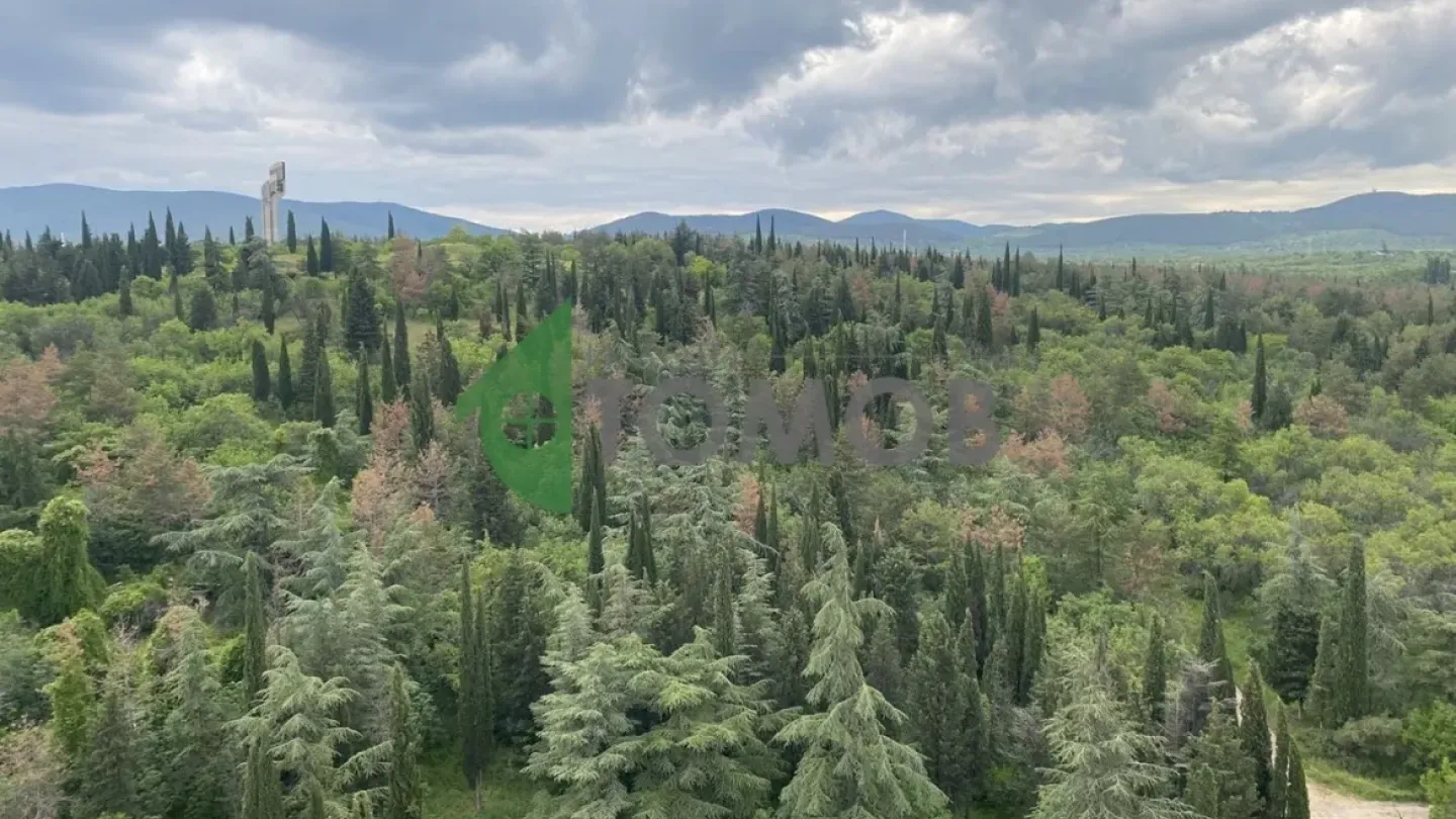 Spacious Three-Bedroom Apartment with Stunning City Views. - Image 2