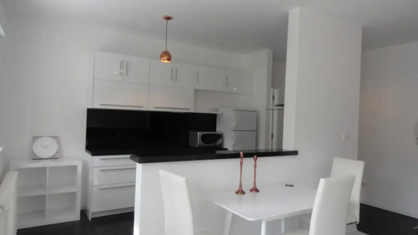 Stylish 1-Bedroom Apartment with Terrace Near Belgrade University - Image 4