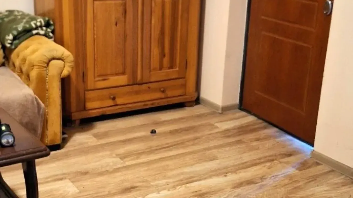 Spacious 3-Bedroom House for Rent in Belgrade - Kosmaj Area - Image 2