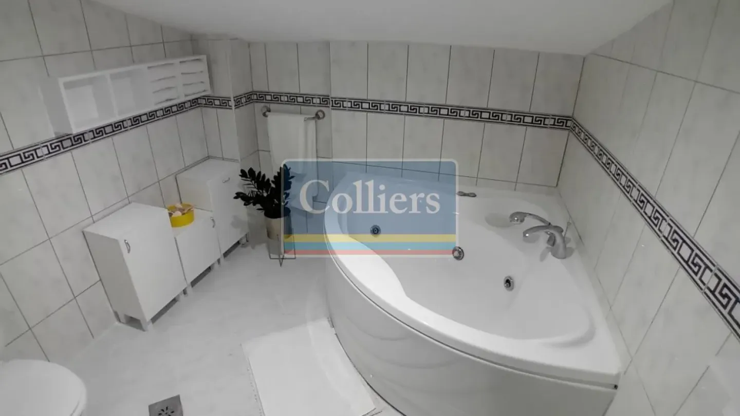 Spacious 5-Bedroom House with Stunning Features in Belgrade - Image 2