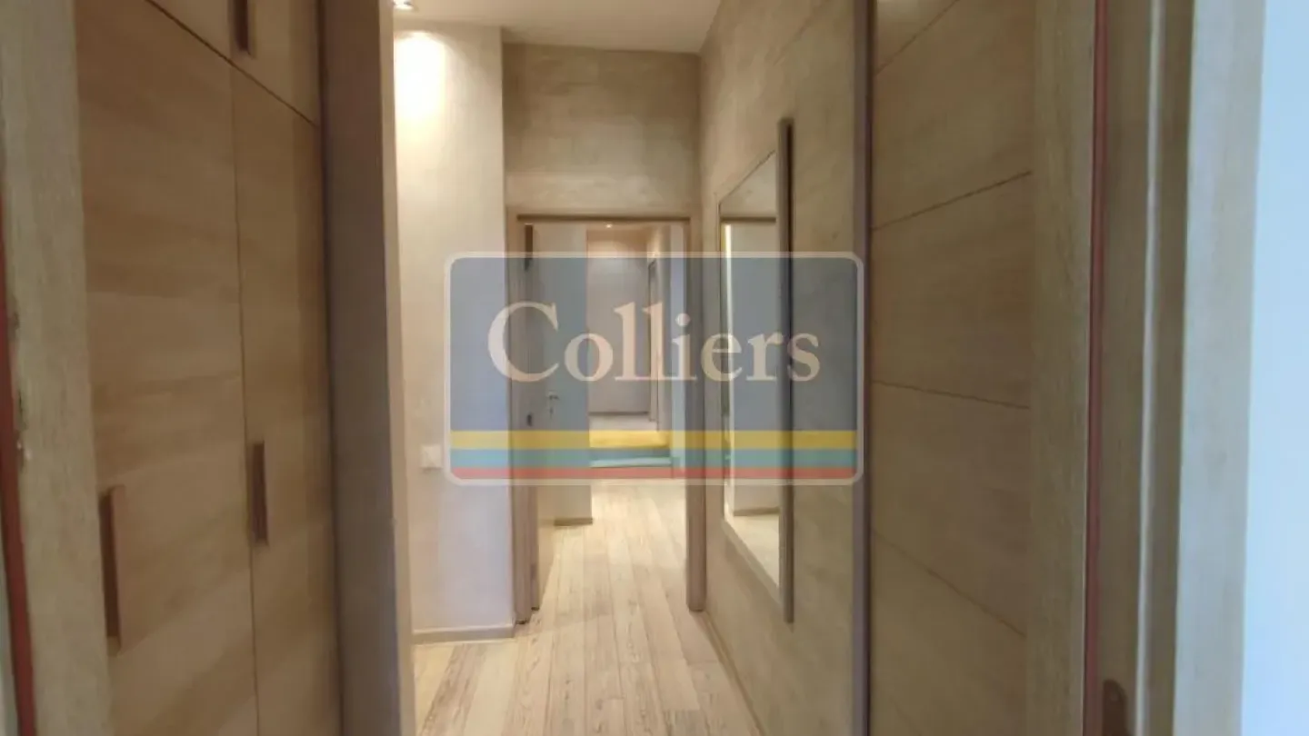 Spacious Belgrade Penthouse with Stunning Terrace & Garage - Image 5