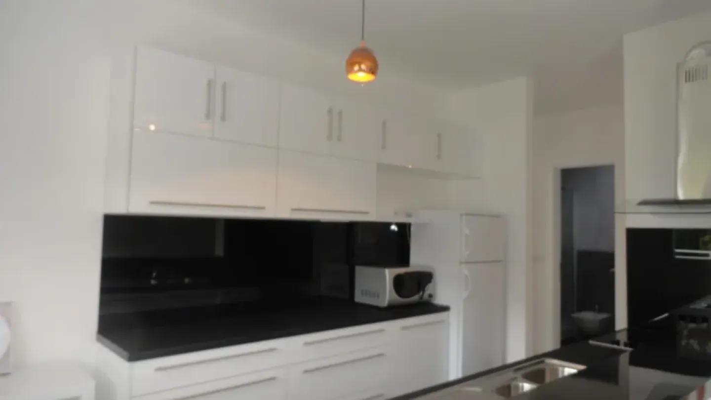 Stylish 1-Bedroom Apartment with Terrace Near Belgrade University - Image 2