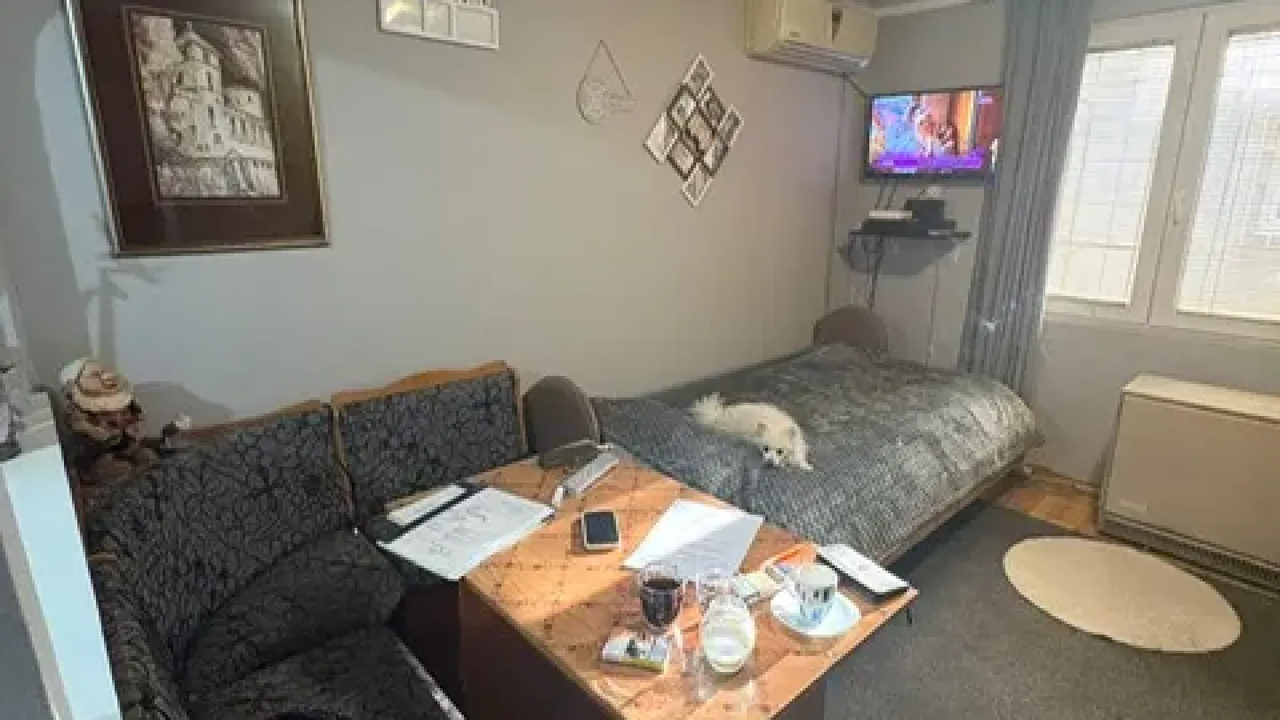 Spacious 2-Bedroom House in Palilula – Belgrade, Serbia for Sale - Image 3