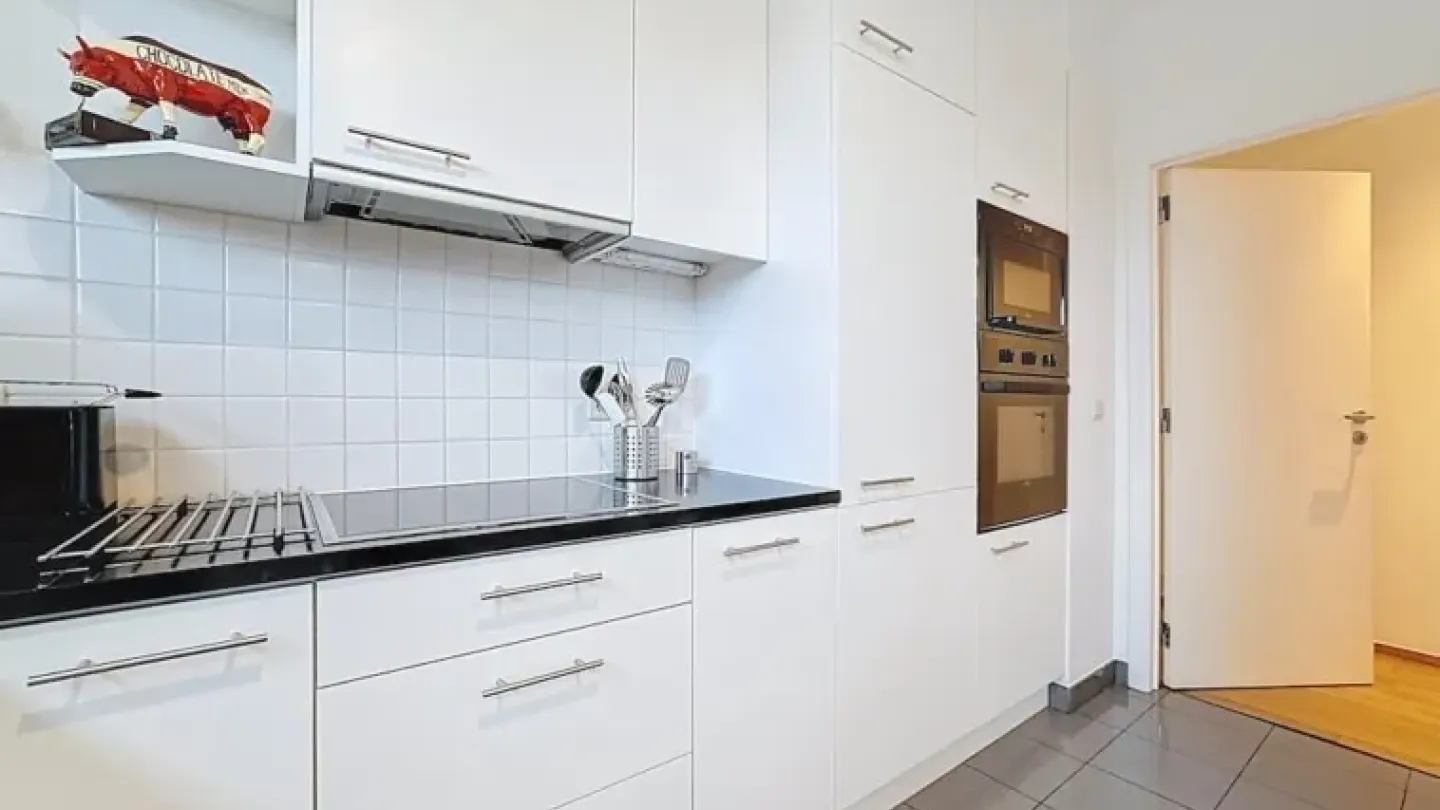 Luxurious Brussels Penthouse with Park Views – Spacious & Fully Furnished - Image 4