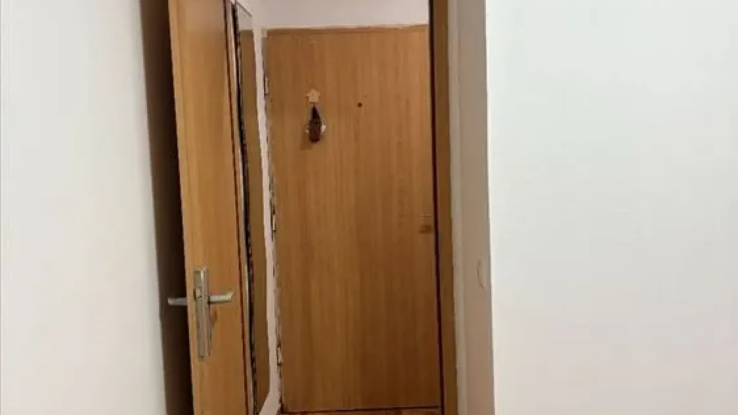 Spacious 2-Bedroom Apartment with Terrace in Belgrade - Mirijevo - Image 2