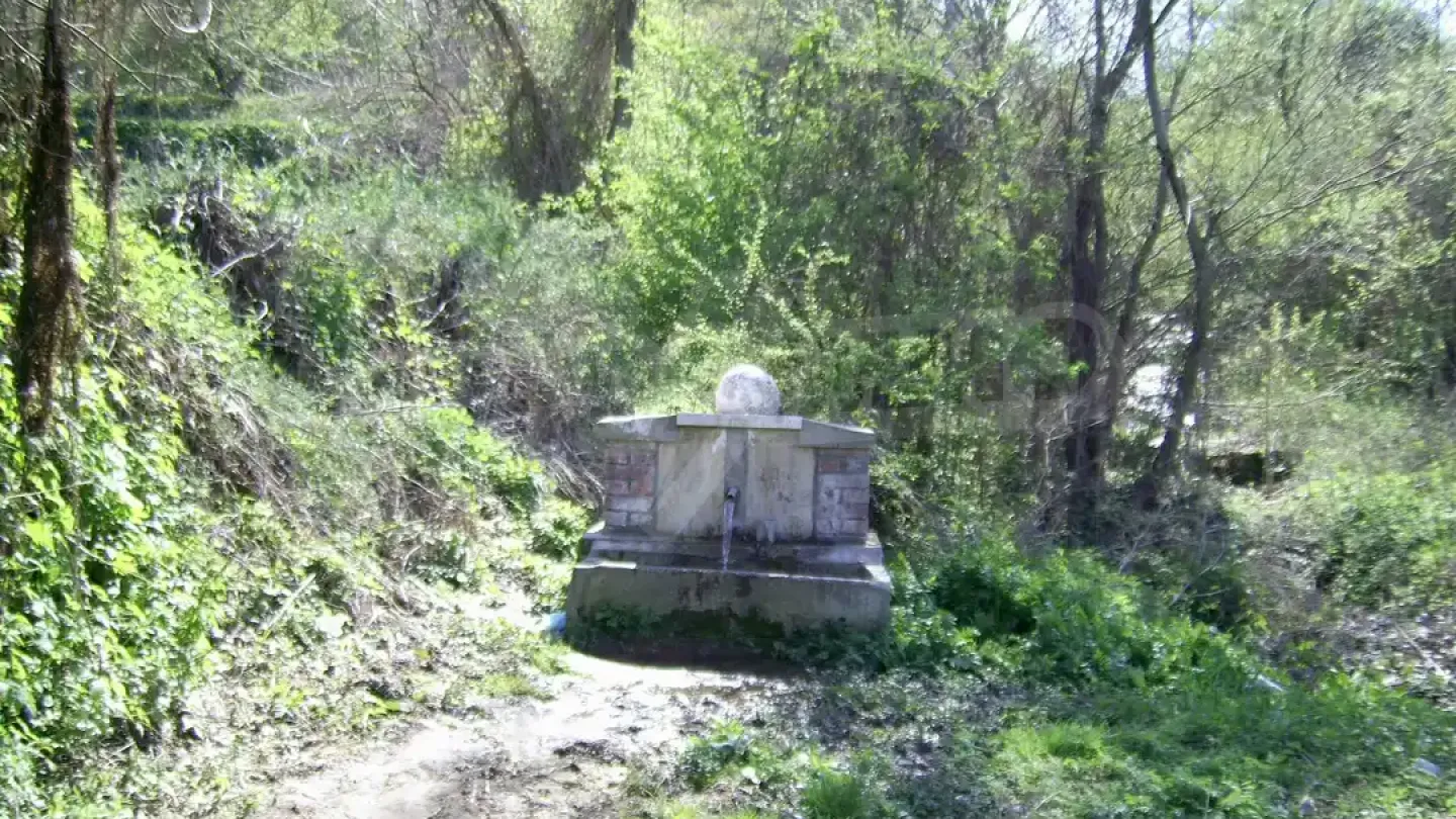 Charming South-Facing House with Land in Picturesque Vidin Region, Bulgaria - Image 1