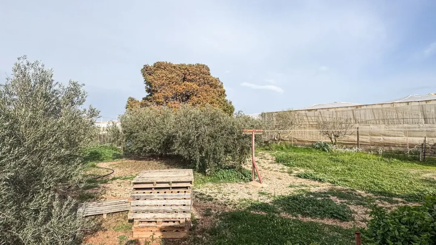 Spacious Cortijo with Land in Níjar, Spain - 3 Bedrooms - Image 4