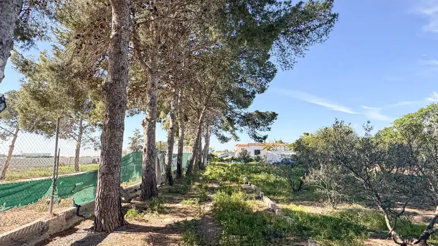 Spacious Cortijo with Pool & Garage in Níjar, Spain - Image 3