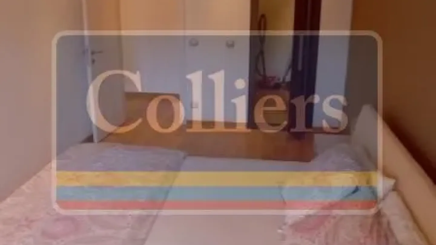 Spacious 2-Bedroom Apartment with Garage - Savski Venac - Image 4