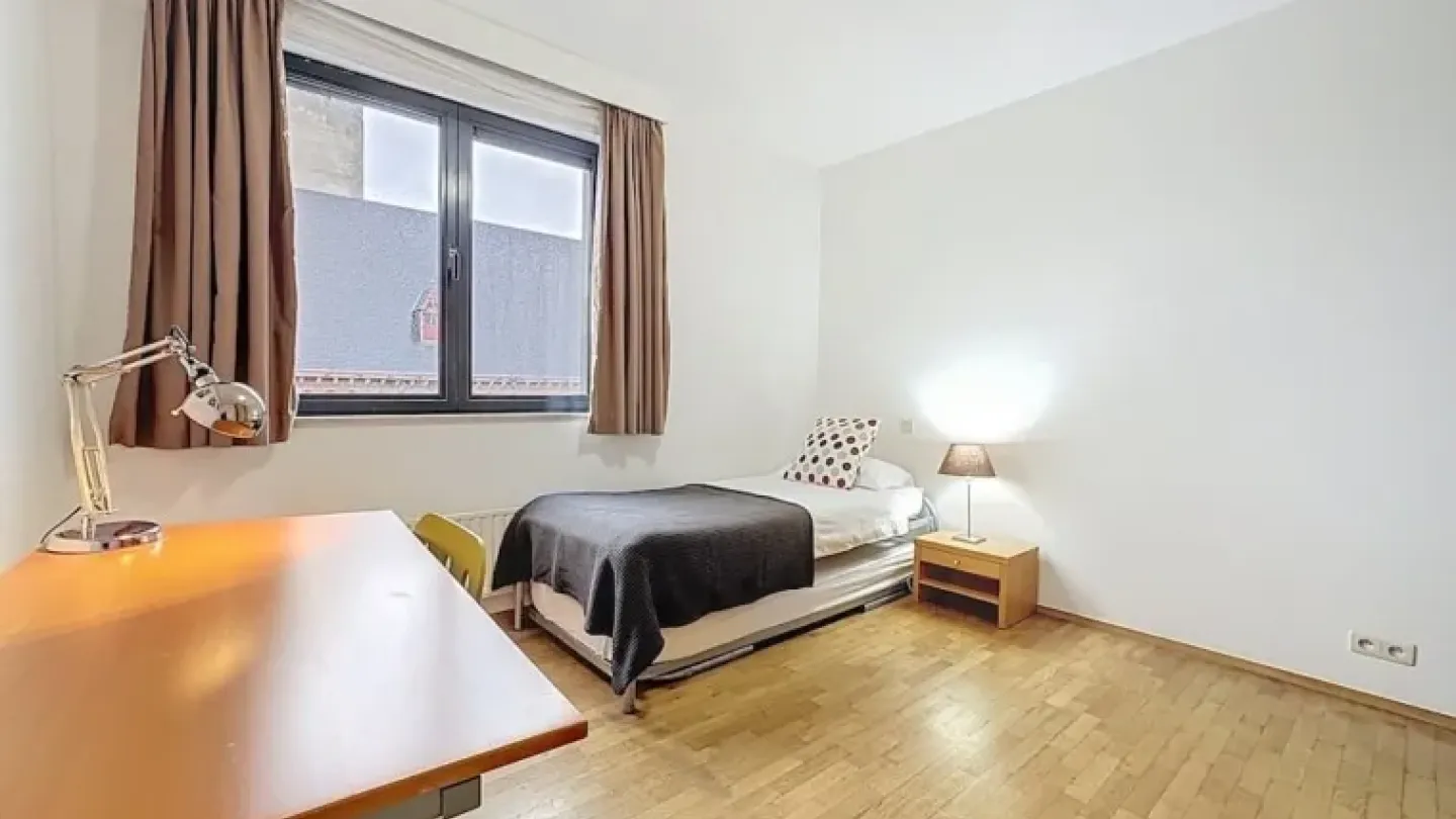 Luxurious Brussels Penthouse with Park Views – Spacious & Fully Furnished - Image 3