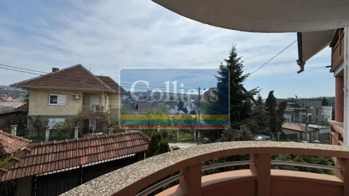 Spacious, Renovated Apartment with Terrace in Belgrade, Serbia - Image 5