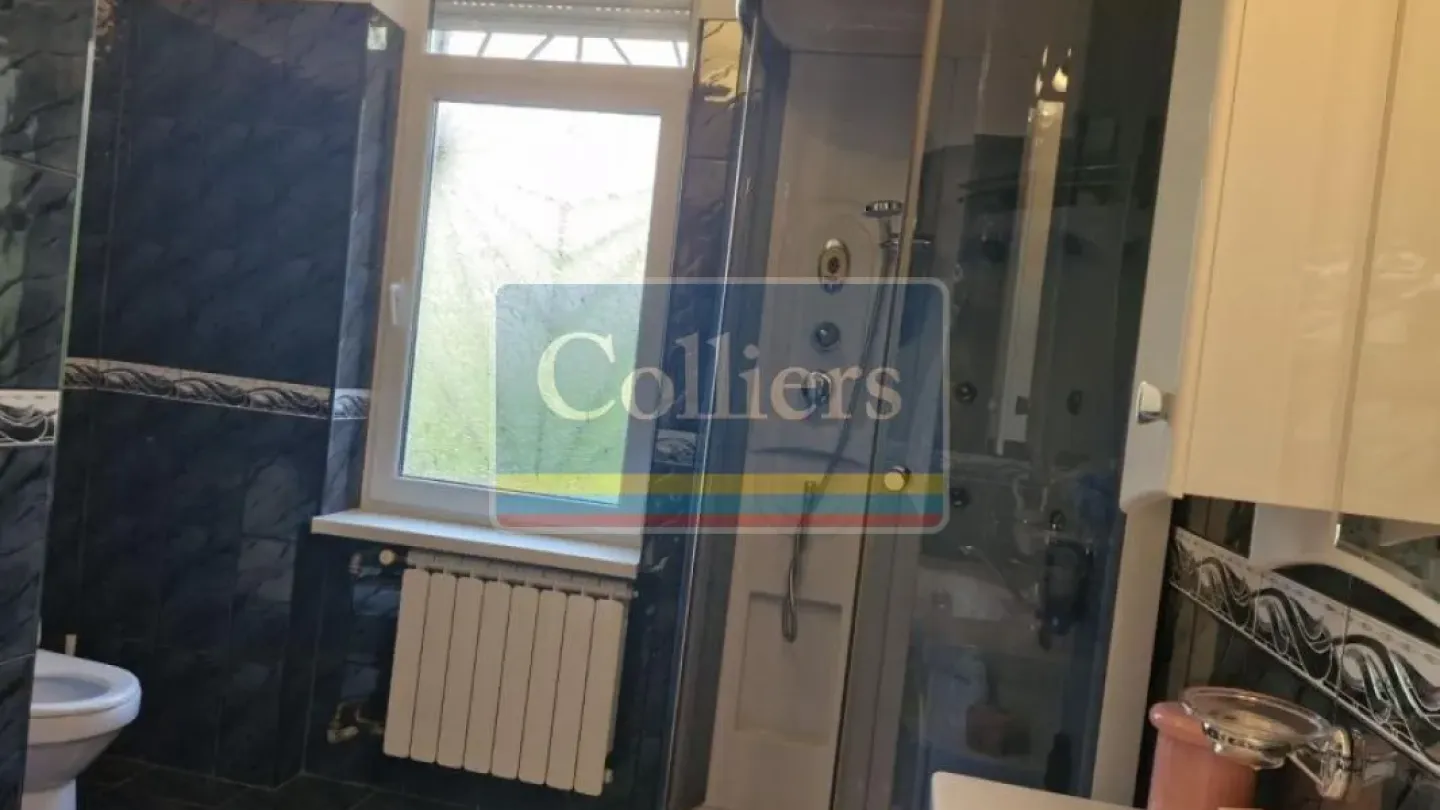 Spacious Villa in Puskinova Street, Belgrade - For Rent - Image 3