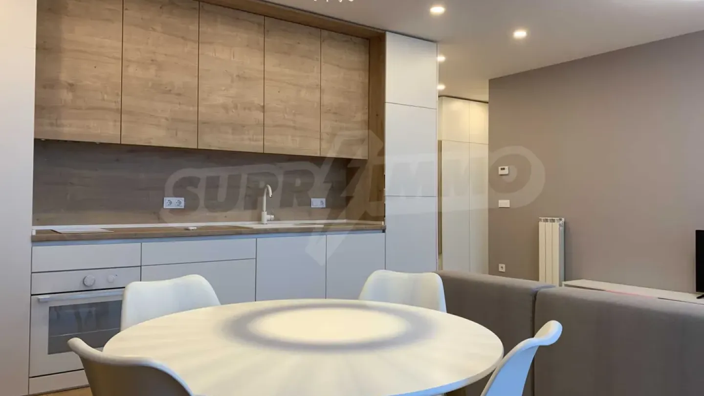 Spacious, Furnished Apartment with Vitosha Views - Image 1