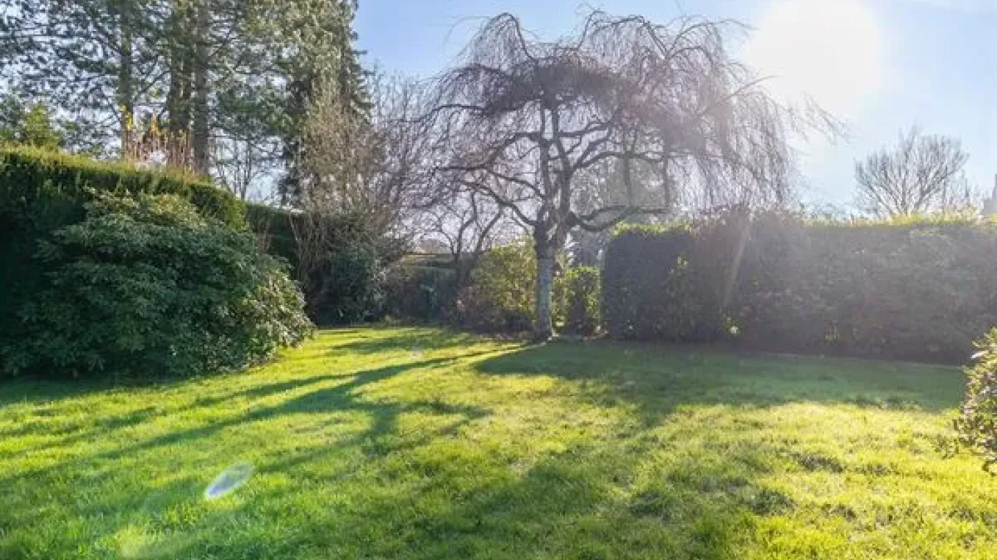 Charming Single-Storey Villa in Waterloo with No Overlooking Neighbors - Image 4