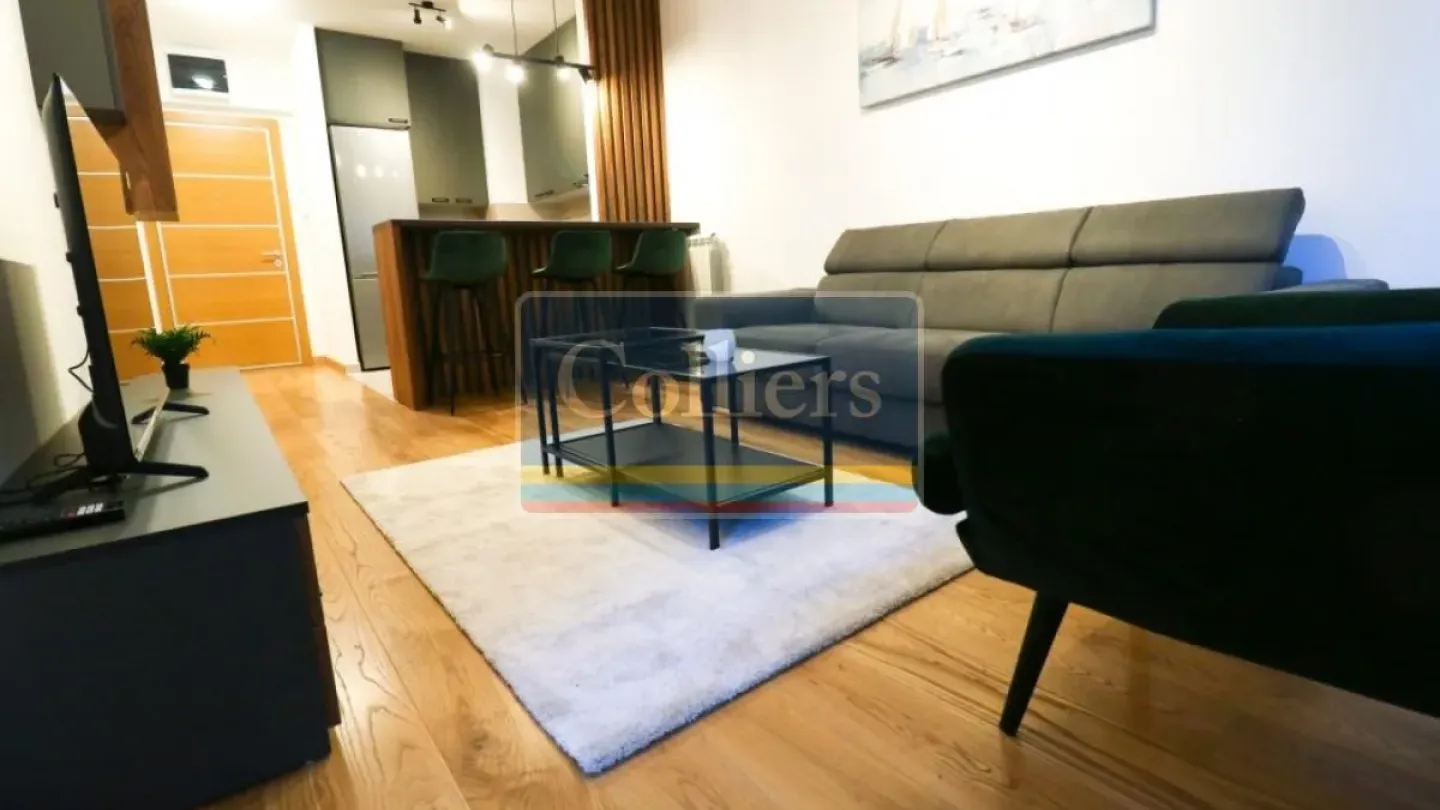 One-Bedroom Apartment in Belgrade with Parking and Pet-Friendly Option - Image 4