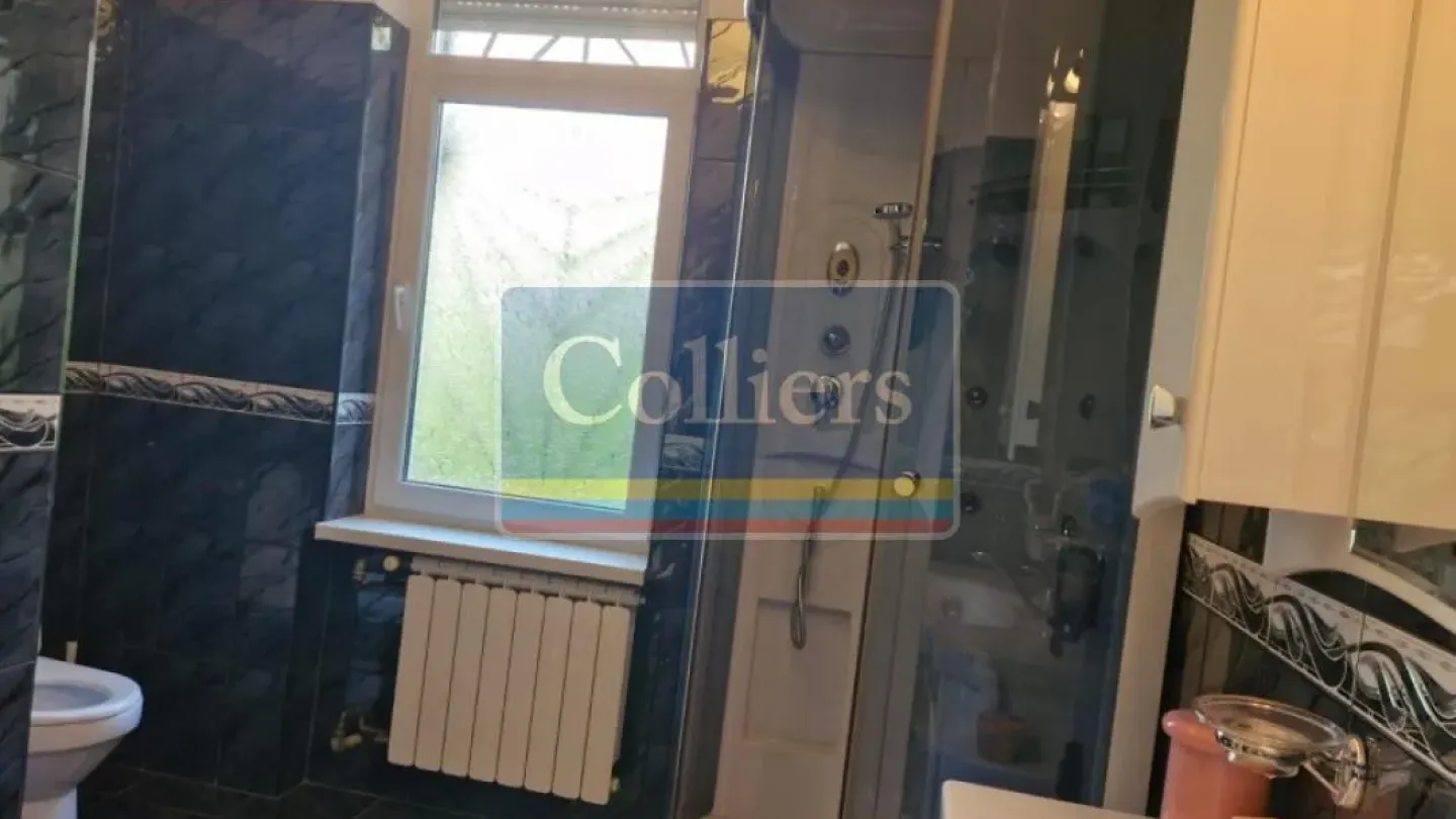 Spacious Villa in Puskinova Street, Belgrade - For Rent - Image 2