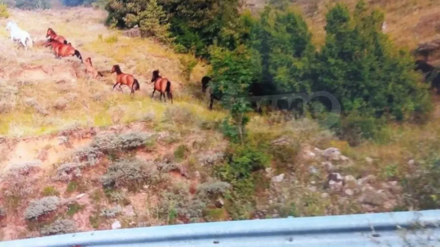 Spacious House with Stunning Views in Sideronero, Drama, Greece - Image 3