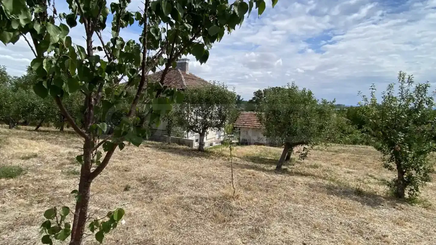 Spacious House with Danube Views & Large Garden - Image 2