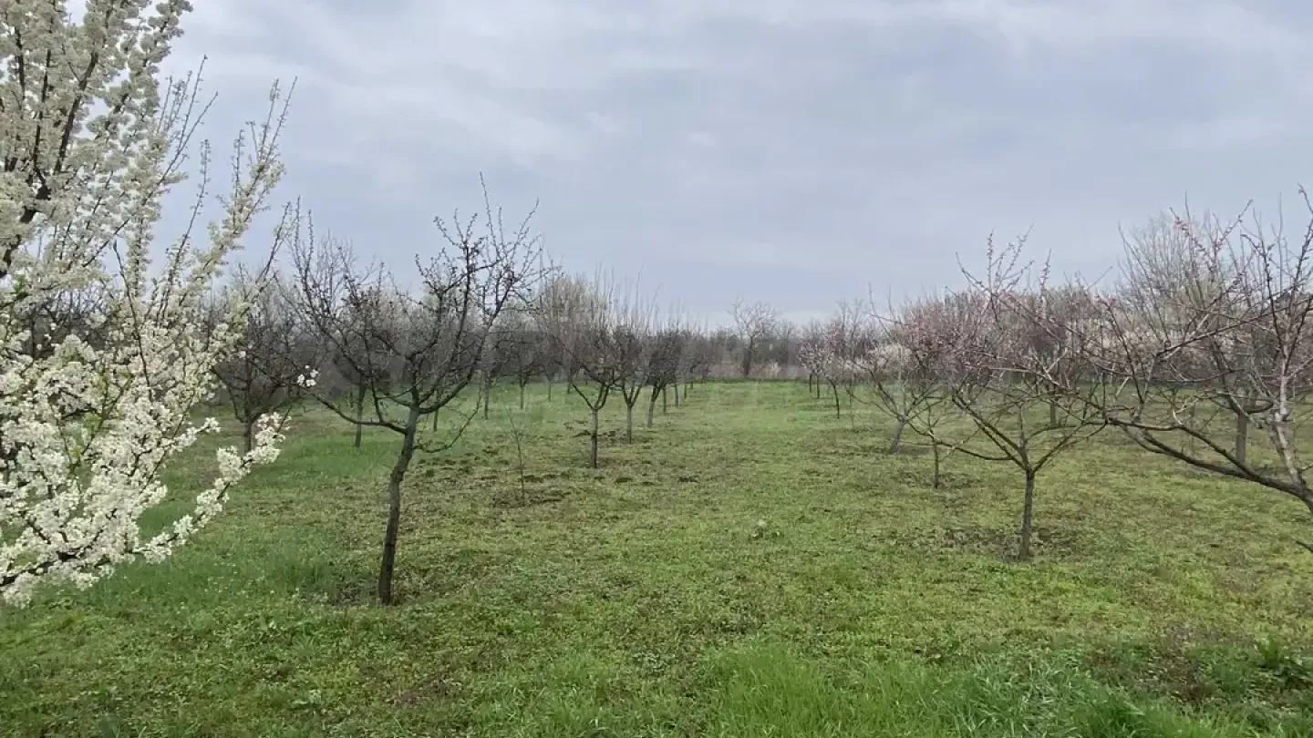 Spacious House with Garden Near Vidin, Bulgaria - Image 3