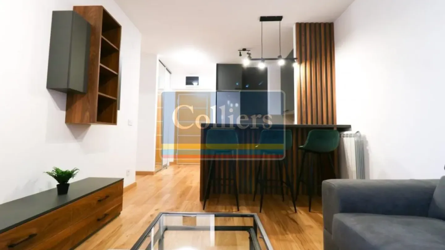 One-Bedroom Apartment in Belgrade with Parking and Pet-Friendly Option - Image 1
