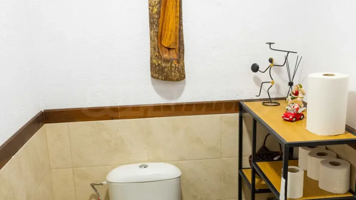 Spacious Rhodope Guest House - Luxury & Charm - Image 5