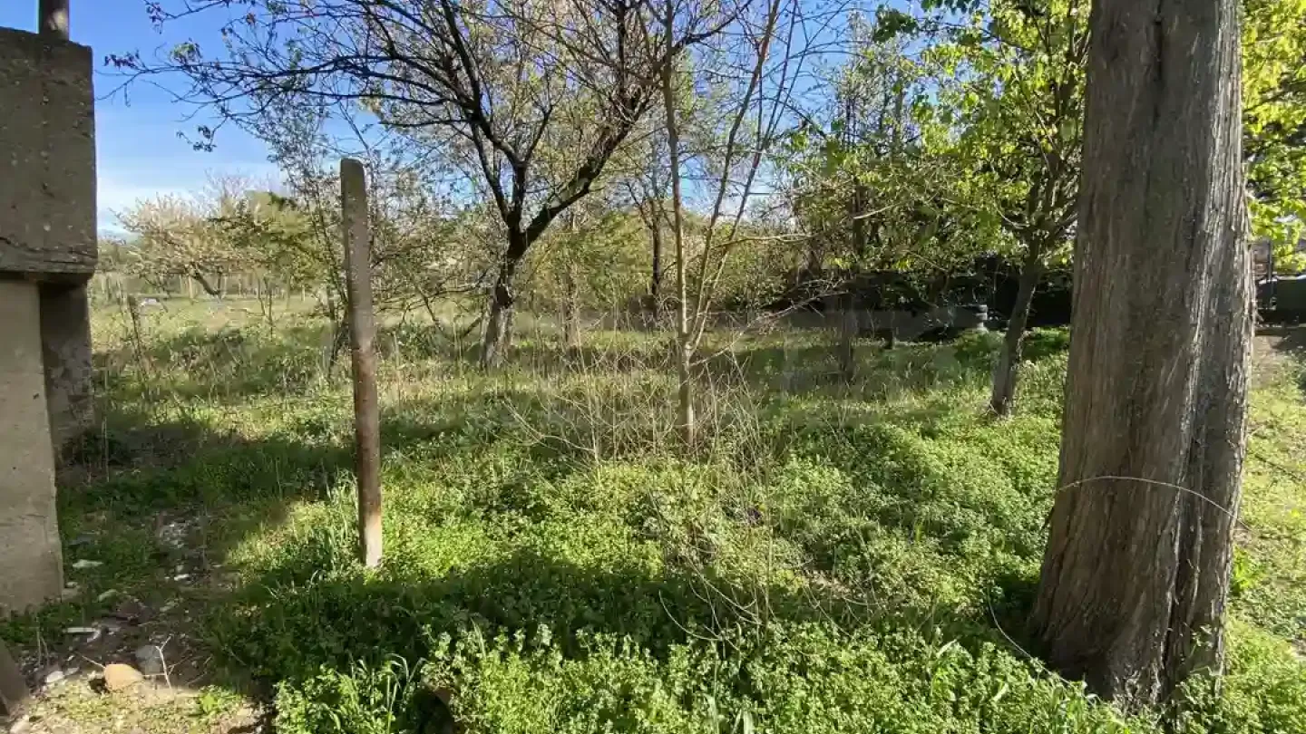 Fully Furnished House by Danube River in Novo selo, Bulgaria - Image 2
