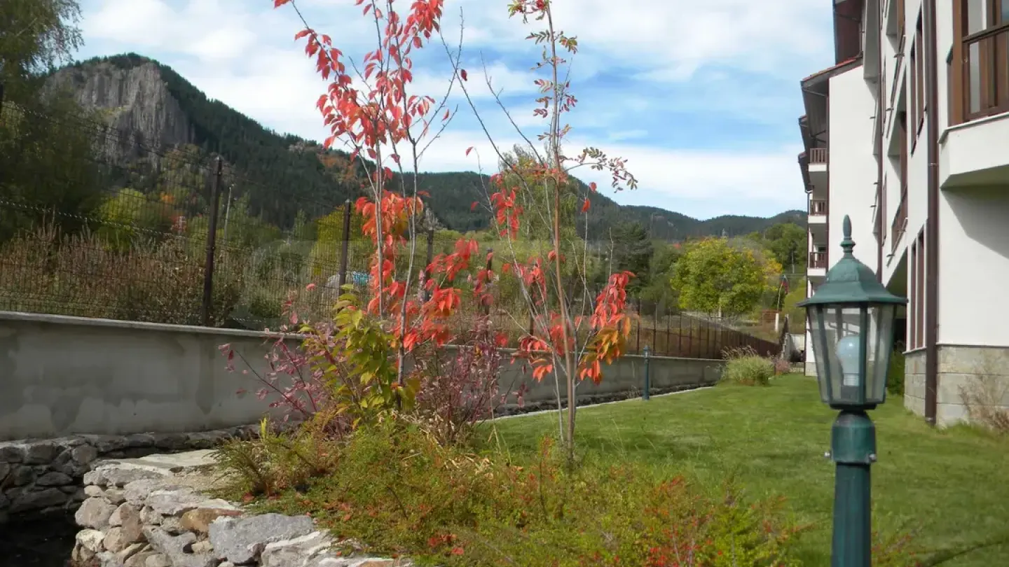 Spacious 3-Bedroom Apartment Near Pamporovo Resort - Image 5