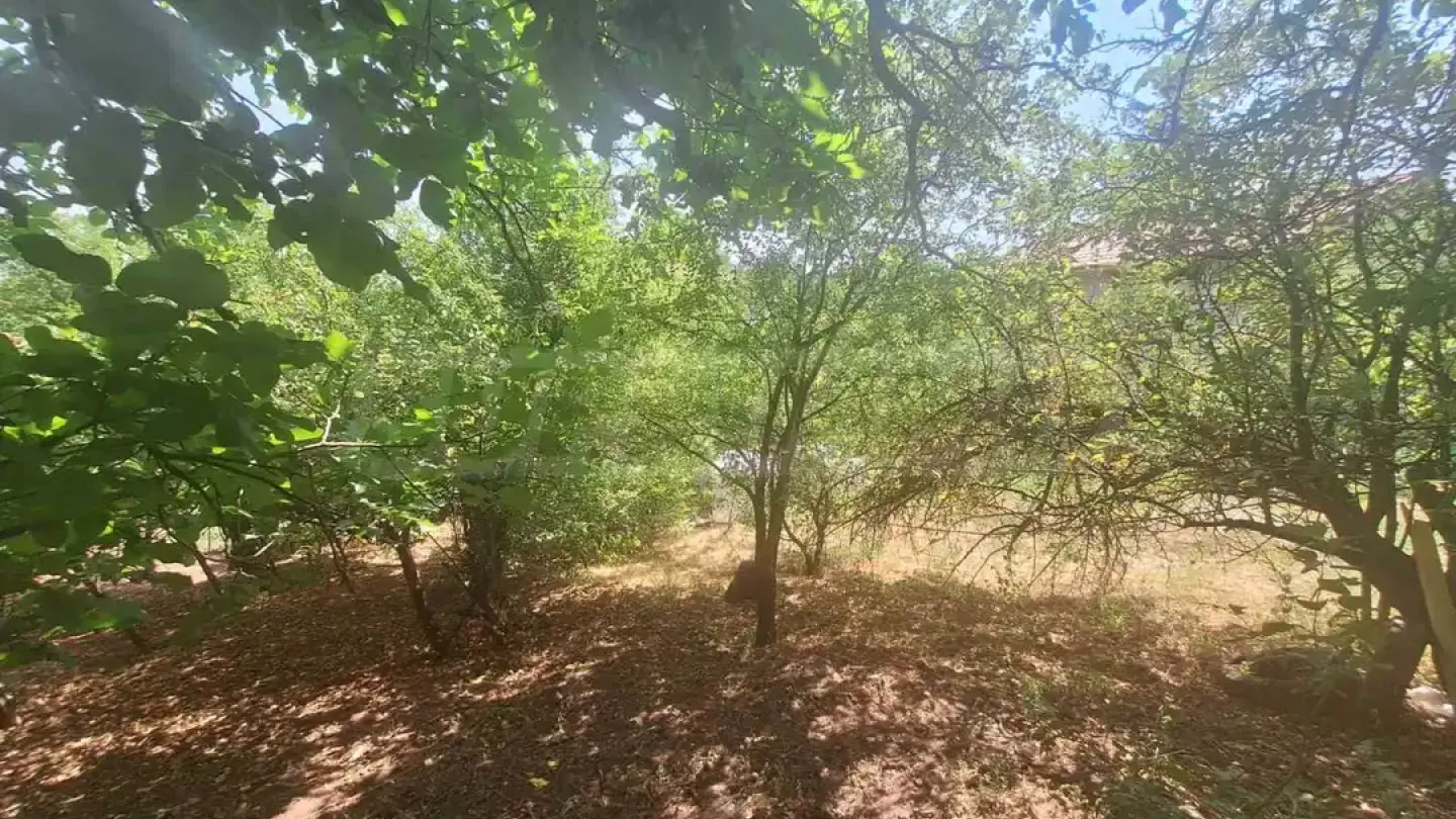Spacious House with Large Garden Near Sofia, Bulgaria - Image 1