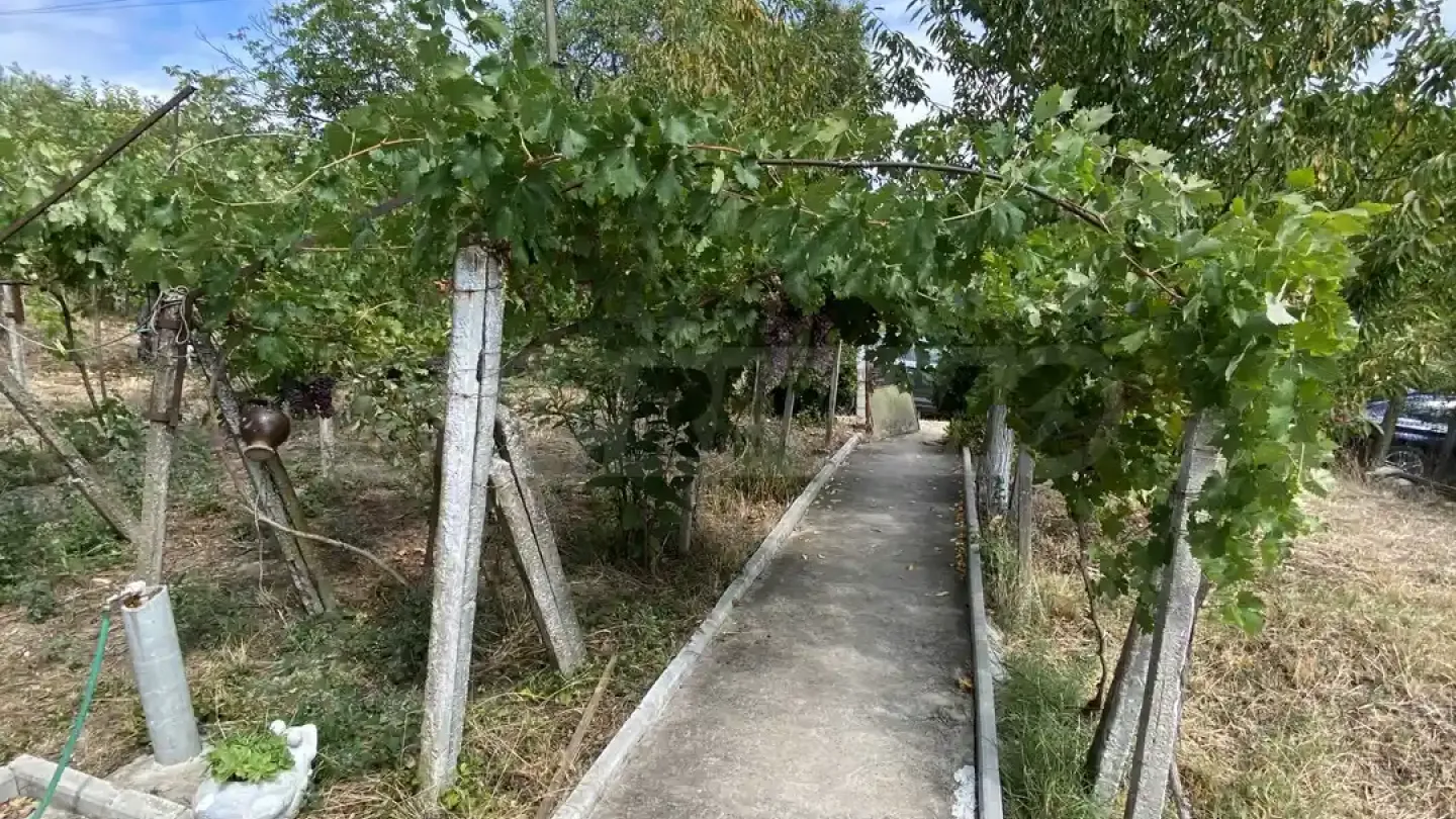 Spacious House with Danube Views & Large Garden - Image 3