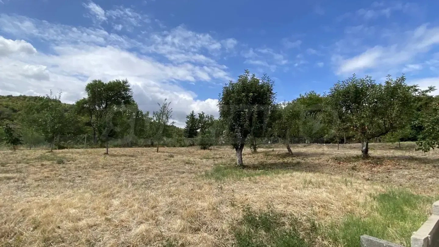 Spacious House with Danube Views & Large Garden - Image 4