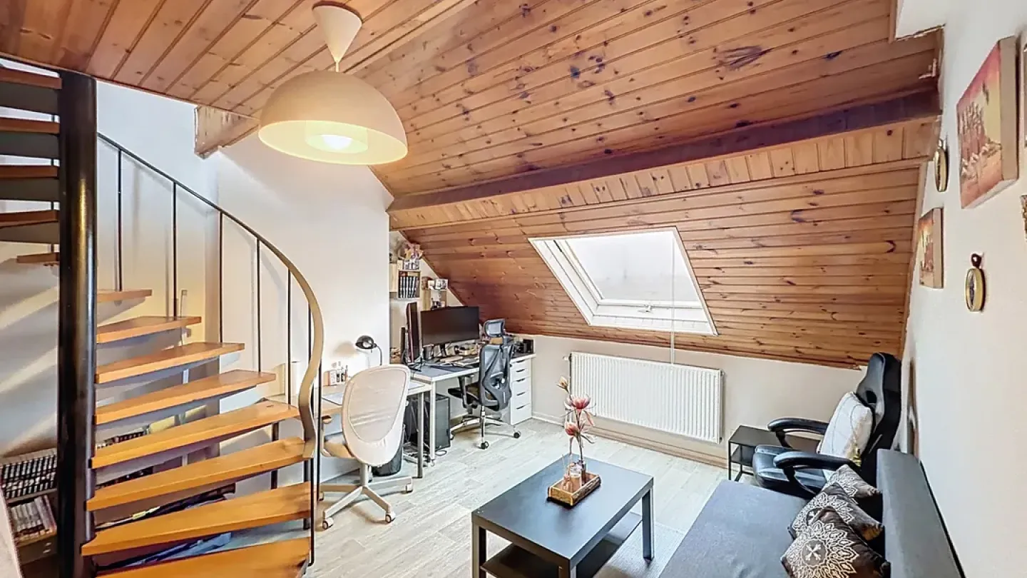 Schaerbeek Master House: 6 Bedrooms, 3 Bathrooms, Investment Potential - Image 2