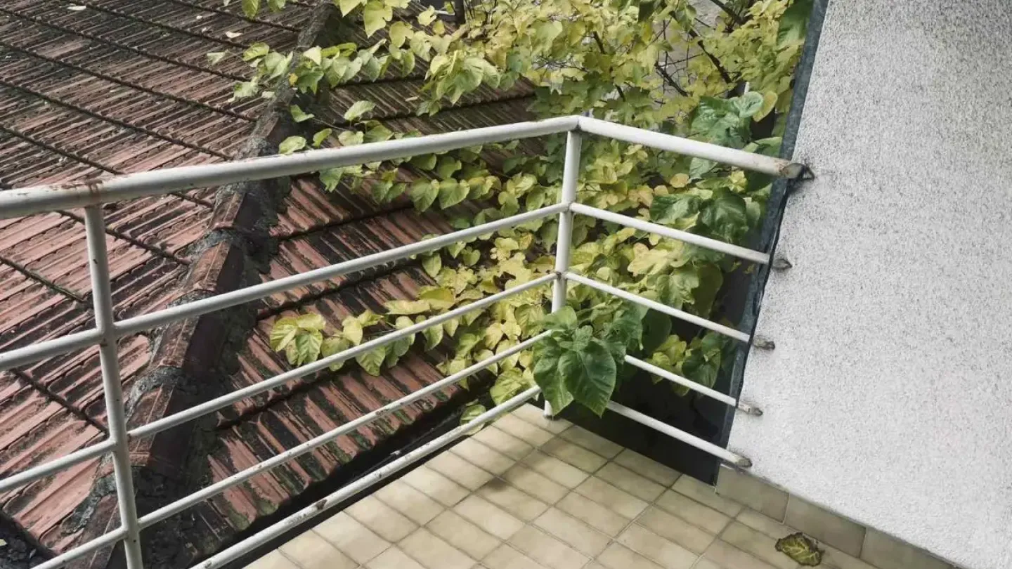 Spacious 3-Bedroom Apartment in Belgrade, Fully Furnished for Rent - Image 2