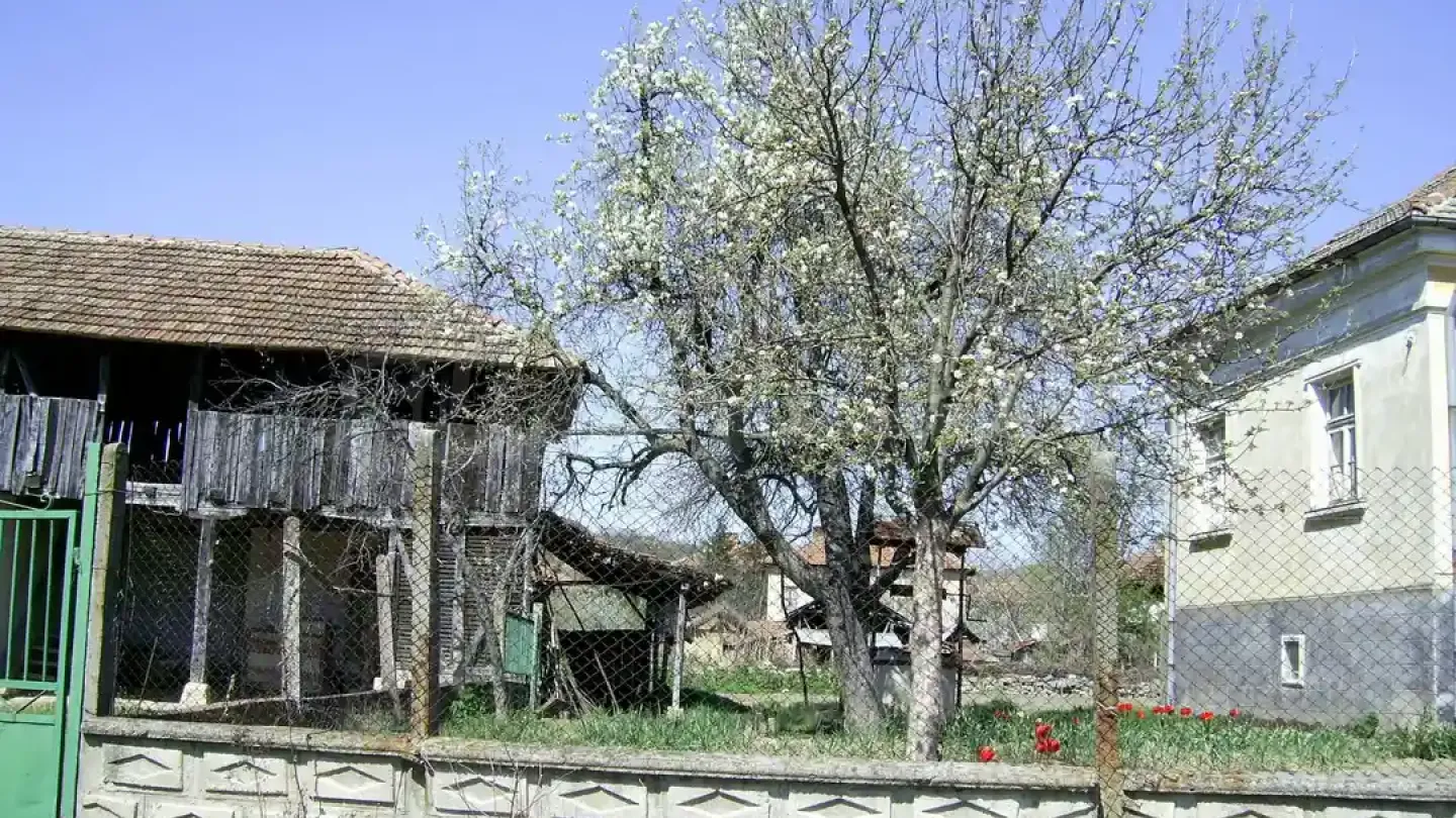 Charming House Near Vidin with Garden and Scenic Views - Image 3