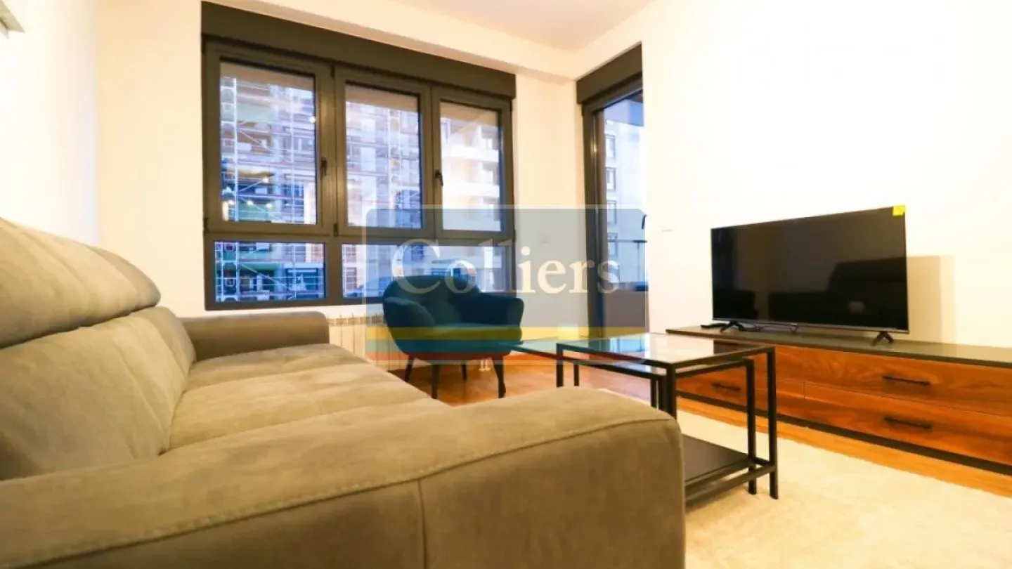 One-Bedroom Apartment in Belgrade with Parking and Pet-Friendly Option - Image 5