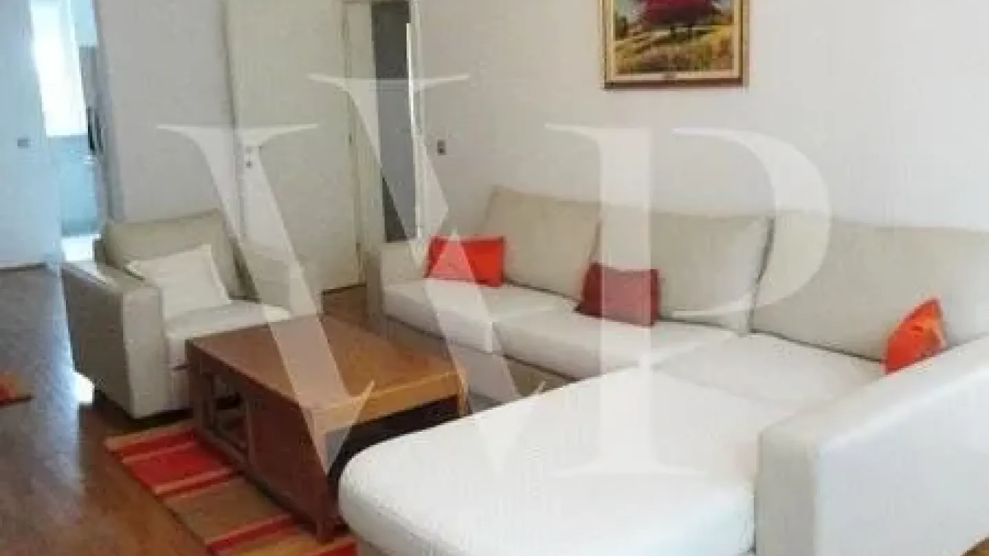 Spacious 2-Bedroom Apartment with Garage Near Arena in Belgrade - Image 2