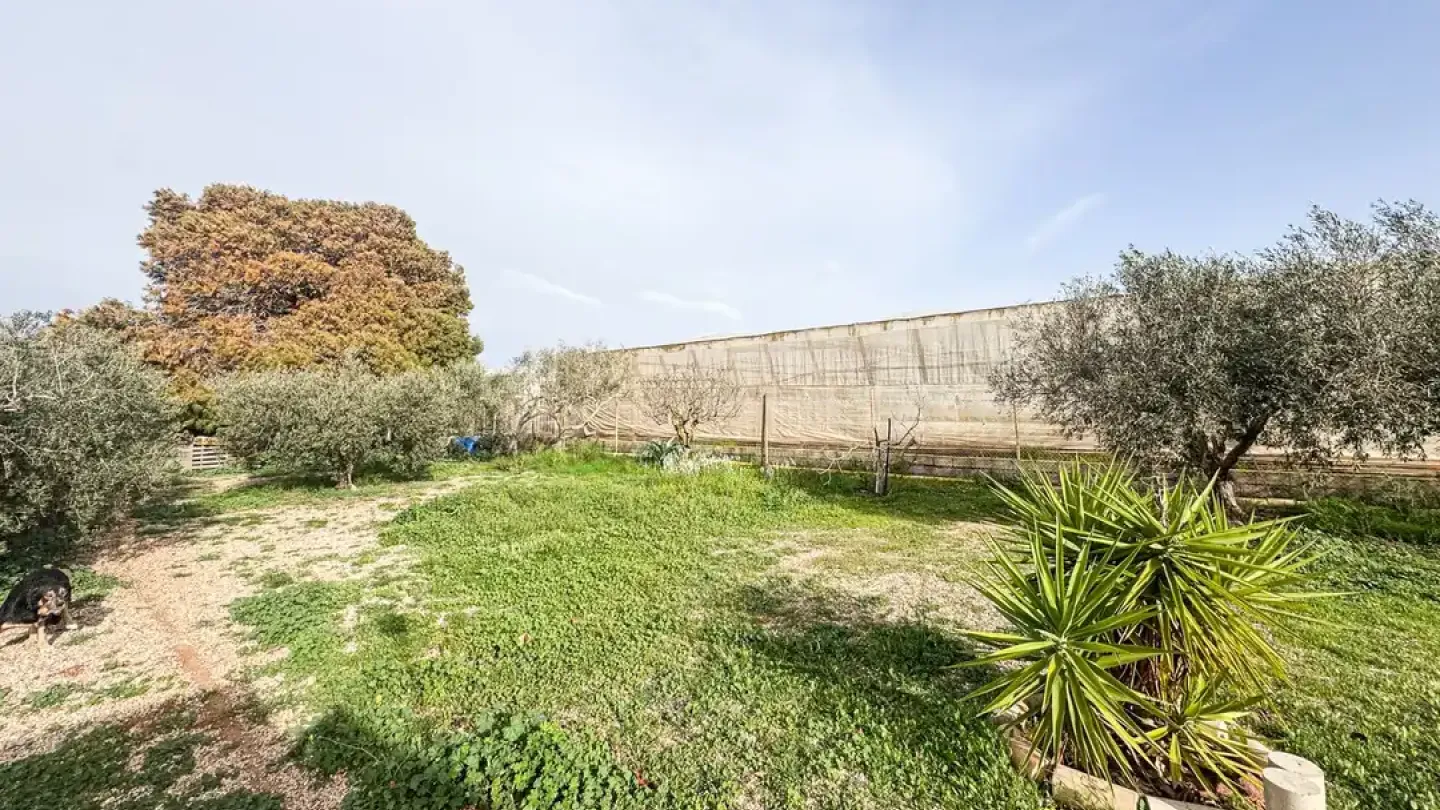 Spacious Cortijo with Land in Níjar, Spain - 3 Bedrooms - Image 2