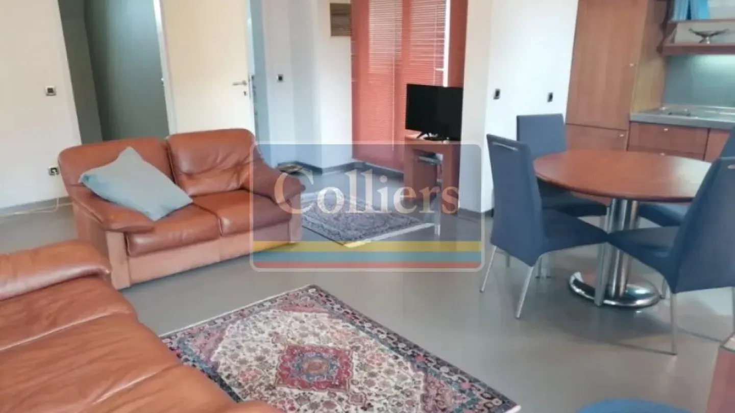 Luxurious Vila Lamartinova - 10 Bedrooms, 4 Bathrooms, Belgrade - Image 5