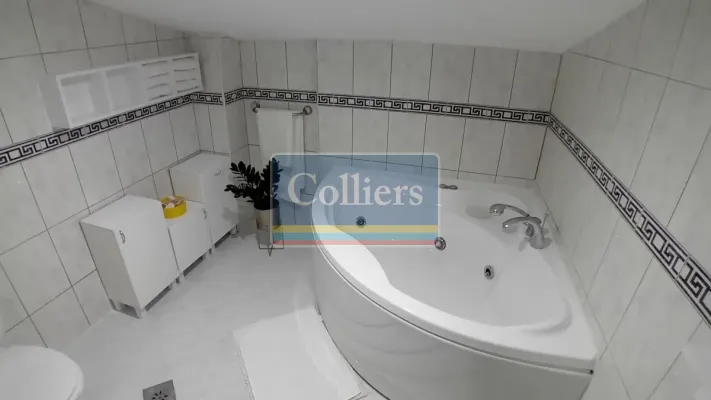 Spacious 5-Bedroom House with Stunning Features in Belgrade - Image 2