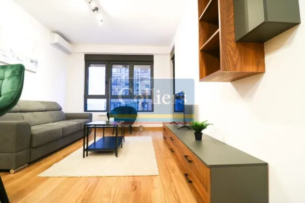 One-Bedroom Apartment in Belgrade with Parking and Pet-Friendly Option - Image 5