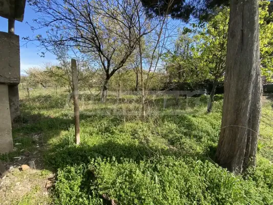 Spacious, Fully Furnished House by the Danubian River, Bulgaria - Image 3