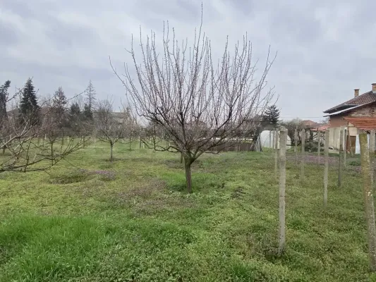 Spacious House with Garden Near Vidin, Bulgaria - Image 3