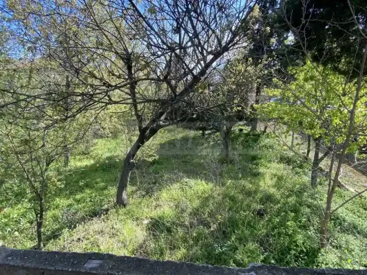 Riverside Village House: Fully Furnished, Danube Bank, 70m2 - Image 5