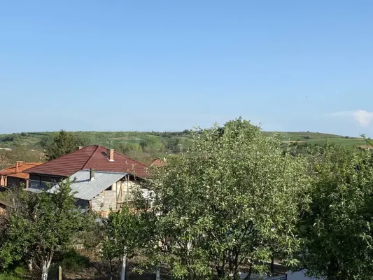 Vineyard House with Winery: 3 Bed, 1 Bath, 107700 EUR - Image 1