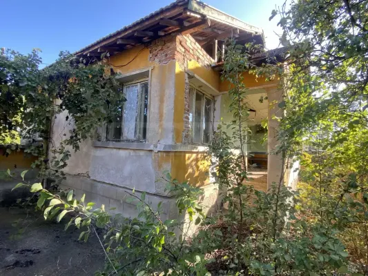 Two Homes by the Danube River - Gomotartsi, BG - Image 2