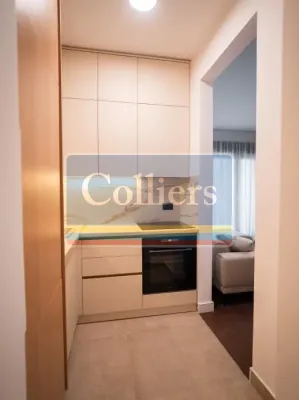 Modern 2-Bedroom Apartment in Central Plaza, Belgrade - Rent - Image 2