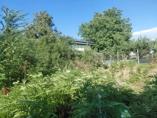 House for sale in Inovo - Image 3