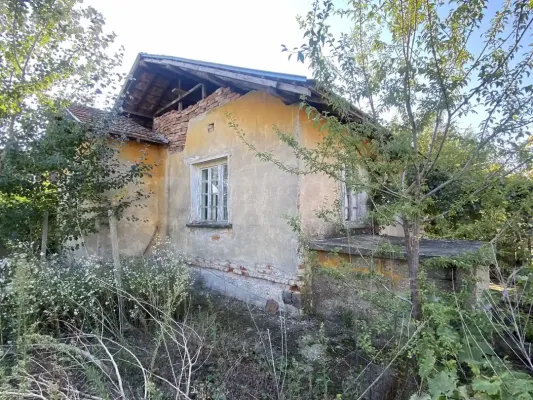 Two Homes by the Danube River - Gomotartsi, BG - Image 5