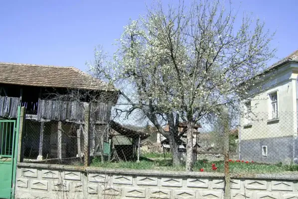 Charming House Near Vidin with Garden and Scenic Views - Image 4