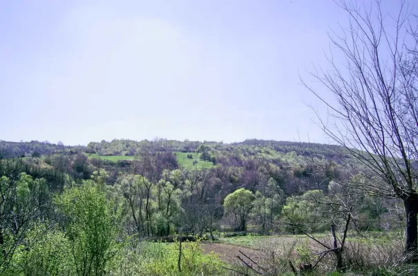 Charming House Near Vidin with Garden and Scenic Views - Image 1